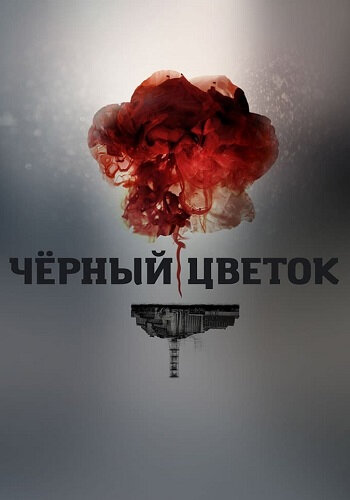 Чёрный цветок