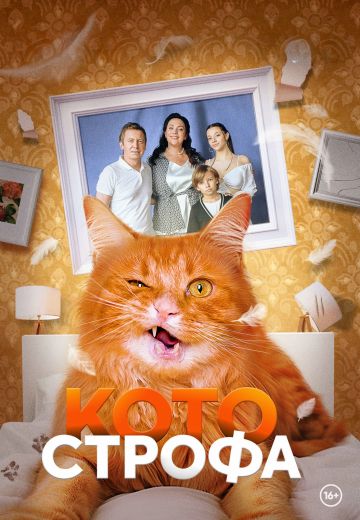 Котострофа