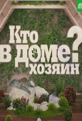 Кто в Доме хозяин?