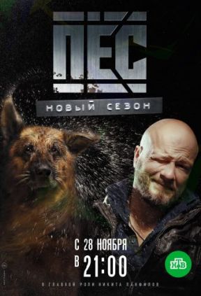 Новогодний «Пёс»